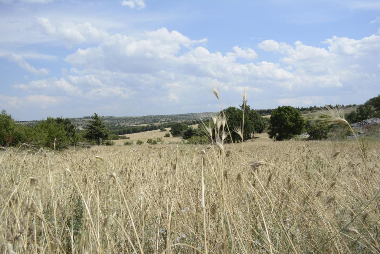 Agriturismo Poggio Ferrata Ruvo di Puglia Exterior photo